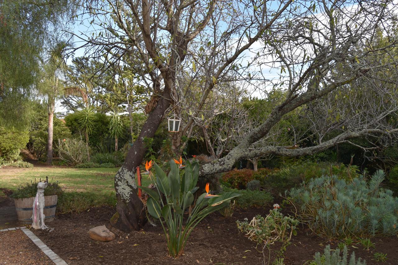 Almond Cottage Bed & Breakfast Somerset West Luaran gambar