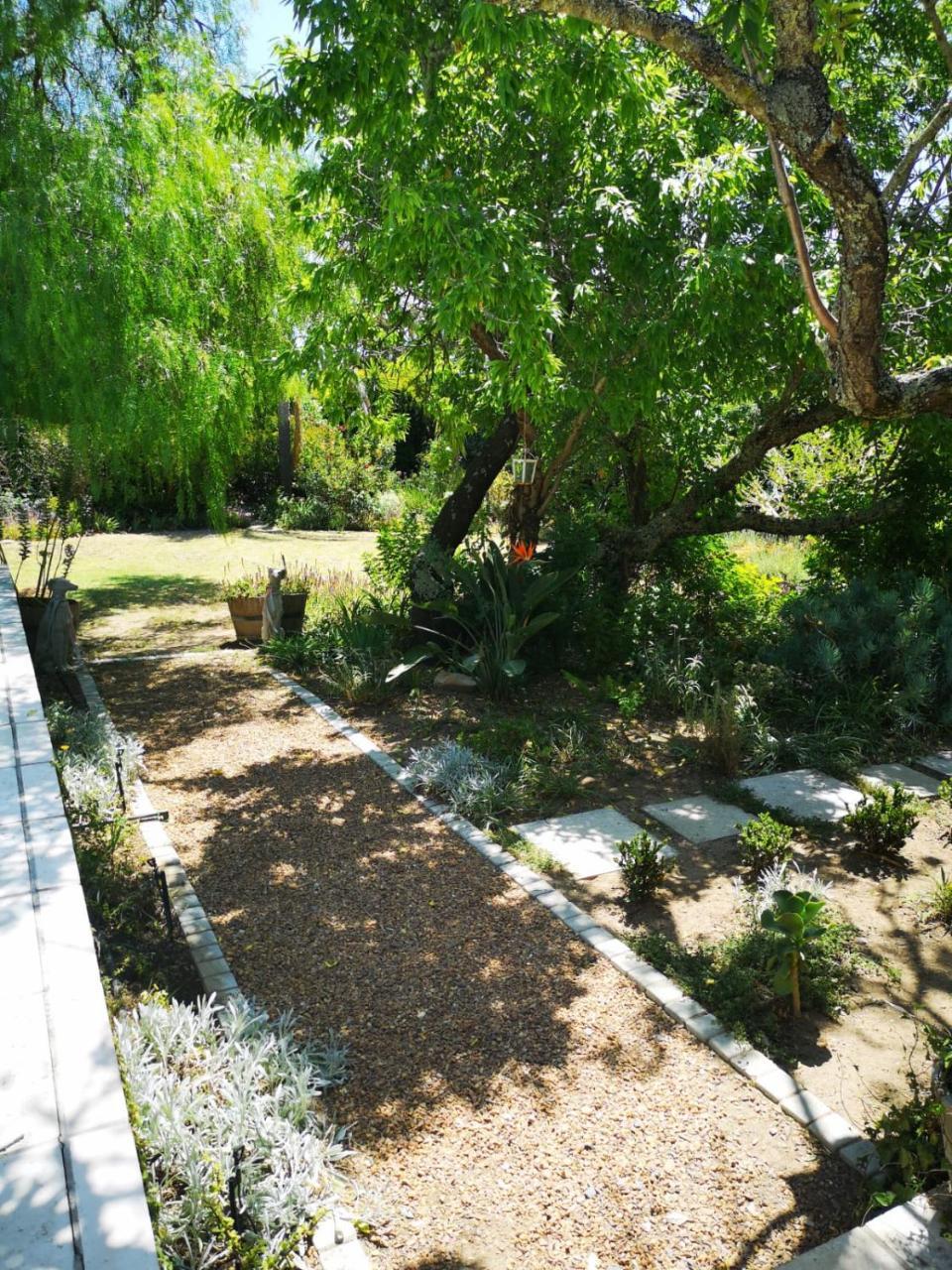 Almond Cottage Bed & Breakfast Somerset West Luaran gambar