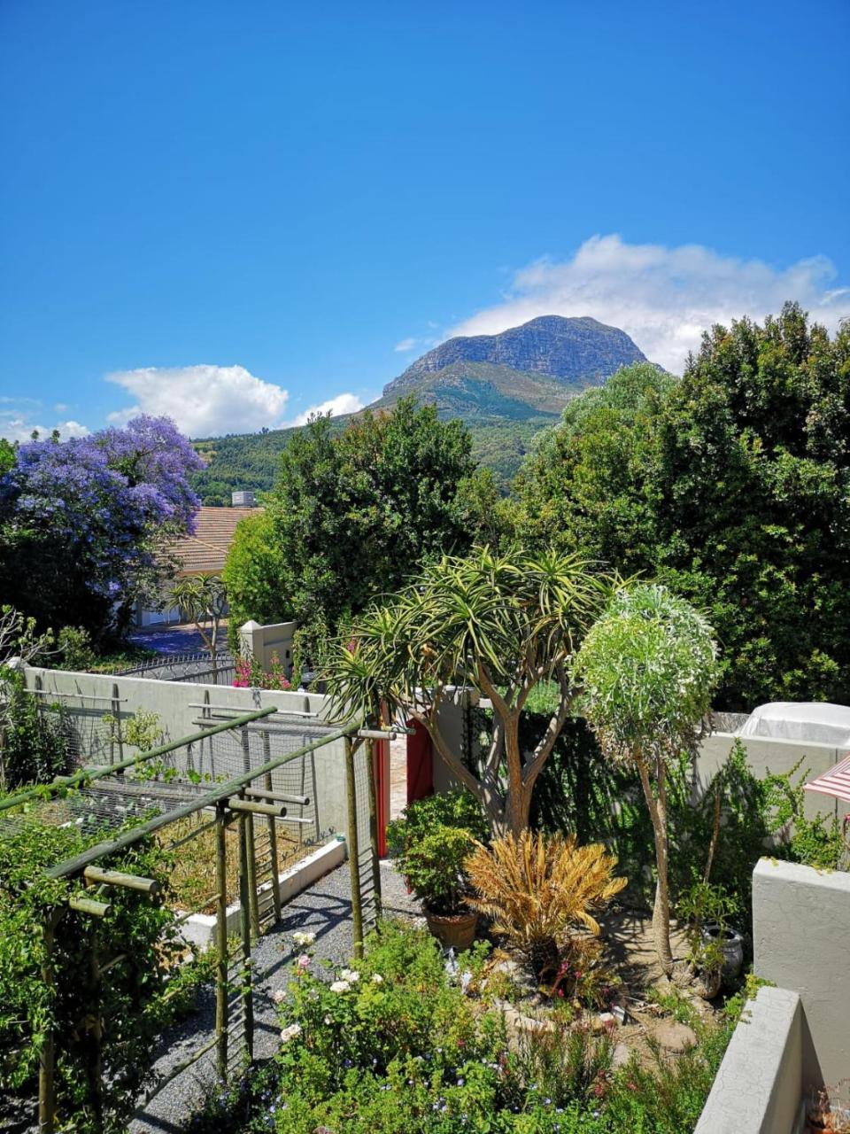 Almond Cottage Bed & Breakfast Somerset West Luaran gambar