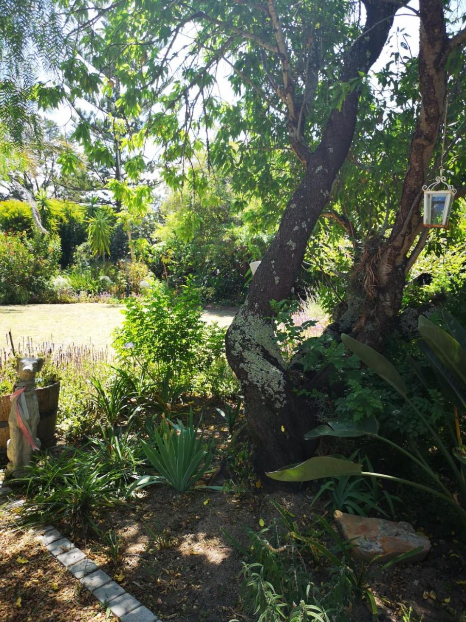 Almond Cottage Bed & Breakfast Somerset West Luaran gambar